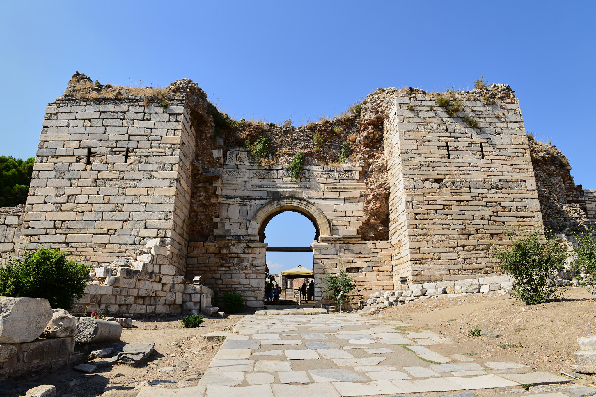 607 셀축 셀수스 도서관